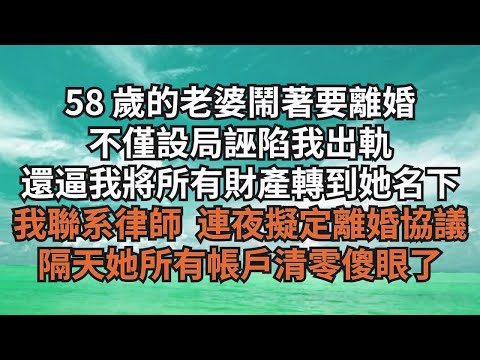 58 歲的老婆鬧著要離婚，不僅設局誣陷我出軌，還逼我將所有財產轉到她名下，我聯繫律師  連夜擬定離婚協議，隔天她所有帳戶清零傻眼了【清風與你】#激情故事#大彬情感#夢雅故事#小說#爽文