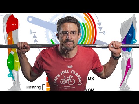 The TOP 3 Strength Workouts Every Cyclist Should be Doing