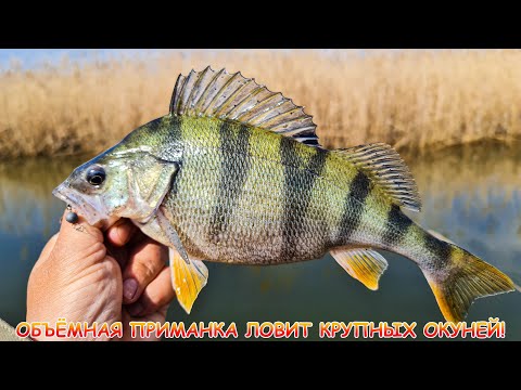 МИКРОДЖИГ! Объёмная приманка ловит крупных ОКУНЕЙ!