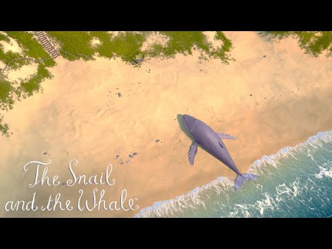 There's a Washed-Up Whale on the Beach! 🐋 @GruffaloWorld: Compilation