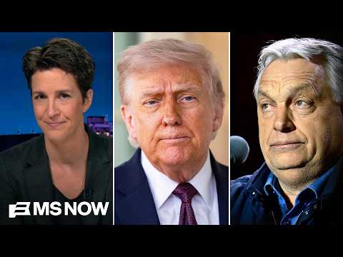 Maddow: Trump's fear is palpable as authoritarian peer Orbán is resoundingly rejected in Hungary