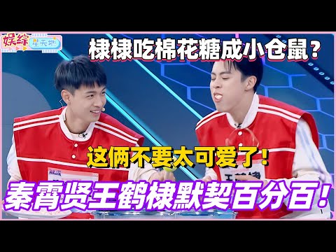 秦霄贤王鹤棣默契百分百！棣棣吃棉花糖成小仓鼠？这俩不要太可爱了！#秦霄贤 #王鹤棣 #你好星期六 #搞笑