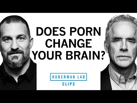 The Truth About Pornography | Dr. Jordan Peterson & Dr. Andrew Huberman