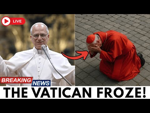 🙏 Pope Leo XIV Announced a Change to Canon Law… And One Cardinal Collapsed Mid-Reading
