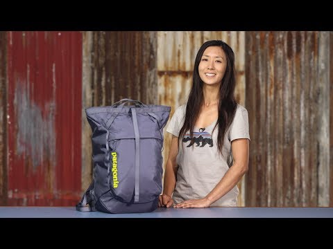 Patagonia Linked Pack 28L
