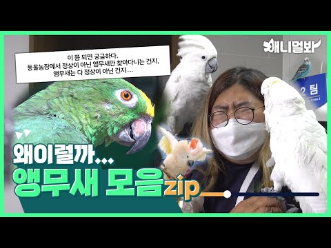 ???: ์ด๋ฒ์๋ ๋ฉ์ฉกํ ์ต๋ฌด์๋ฅผ ๋ณด์ฌ๋๋ฆฌ๊ธด ๊ธ๋ ์ต๋๋ค.๐ ์ต๋ฌด์ ๋ชจ์๋ณด๊ธฐ ๐ฆ๐ฆใ
ฃ???: We failed to find normal Parrot