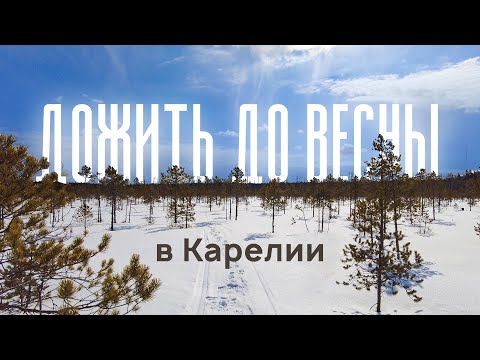 Зима в Карелии. Особенности жизни на севере России зимой. Климат и температуры.