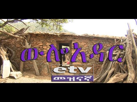 #etv ውሎአዳር ምስራቅ ትግራይ ዞን ኢሮብ ወረዳ አሊቴና ቀበሌ በአቶ ተስፋዬ ምስጋና ቤት የተደረገ ቆይታ