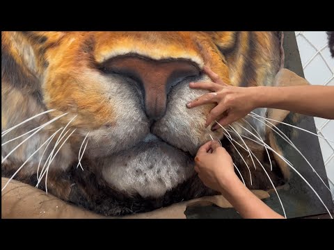 Watch How I Create a Life-like Tiger Breaking Free from the Frame! | Time-lapse Art