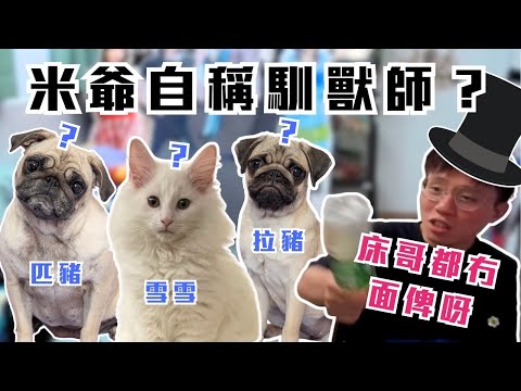 [JFFLIVE考古精華]  米爺自稱馴獸師？｜米爺教狗｜米爺：牙雪！床哥都冇面俾呀 | 米講風良話精華 @JFFTHK @JFFLiveChannel