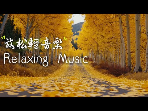 鄉間林中的道路 釋放芬多精安撫身心 鋼琴 輕音樂 大自然 療癒音樂