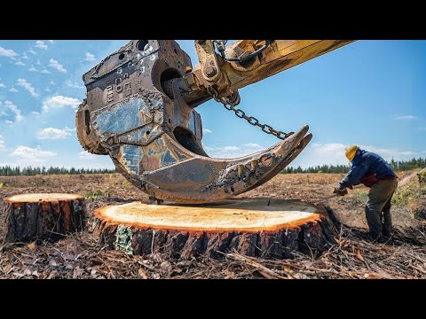 Extreme Dangerous Fastest Big Chainsaw Cutting Tree Machines | Monster Stump Removal Excavator #49