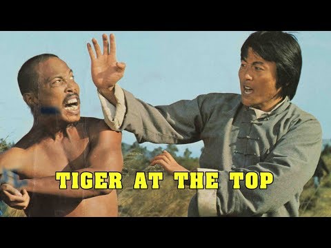 Wu Tang Collection - Tiger at Top
