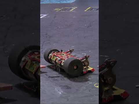 Bot gets KO’d before the countdown!