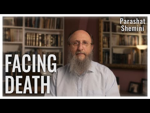 A Bridge Between Worlds | Parashat Shemini 5784