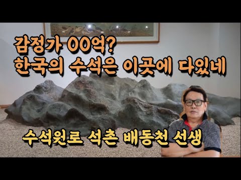석촌 수석 배동천 선생의 일생 역작 모음 2편