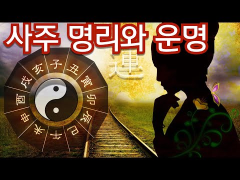 사주 명리학 : 당신의 운은 어떻게 오는가?(feat. 나의 사주 내가 보는 법)