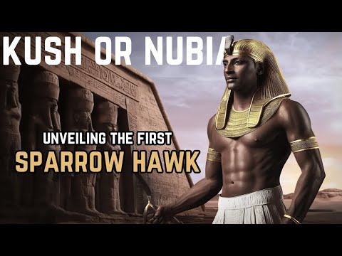 You Won't Believe Why Egyptologists Suppress the History of Nubia (Kush)
