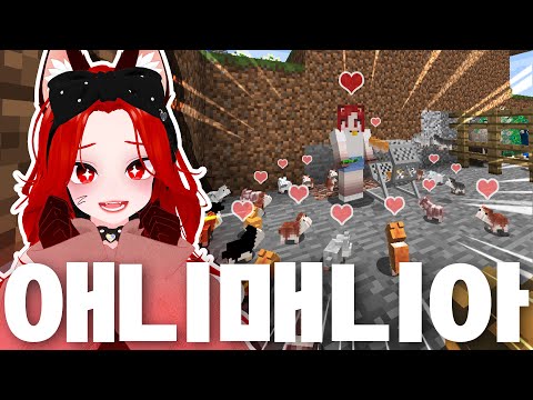 귀염뽀짝한 동물들이 가득한 모드?!❤ 그런데...💀 [마인크래프트]
