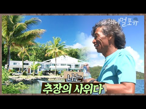 원주민과 결혼한 한국 남자?! 바다와 산호가 아름다운 남태평양의 작은 섬나라로 떠났다🌊 | 남태평양 그 남자 | KBS 인간극장 2013 방송