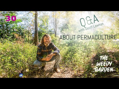 Q & A with Geoff Lawton about PERMACULTURE