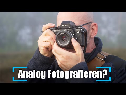 Ich habe 30 Tage analog fotografiert - Das ist passiert