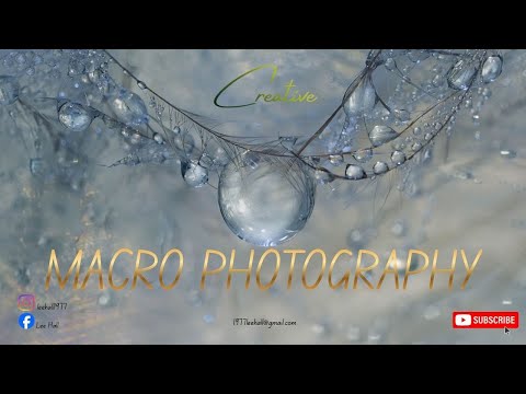 "Macro Water Droplet Photography at Home | OM-1 + 60mm Macro Feather Fine Art Tutorial"