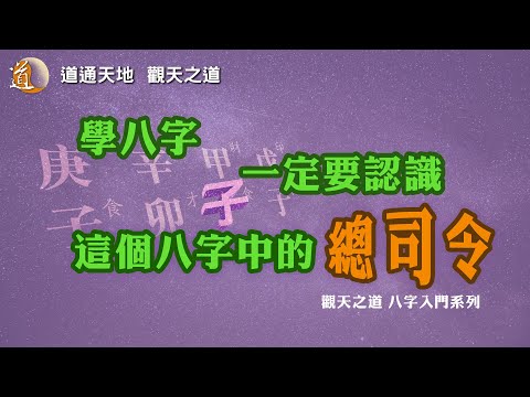 觀天之道 八字中月提的重要性