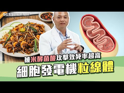 #米酵菌酸 攻擊 #粒線體 慘了？專家揭細胞發電機”粒線體”最害怕10件事！95％癌症竟受它影響？｜奕起聊健康｜祝你健康