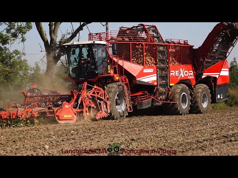 Grimme Rexor 6300 / Zuckerrübenernte - Harvesting Sugar Beets