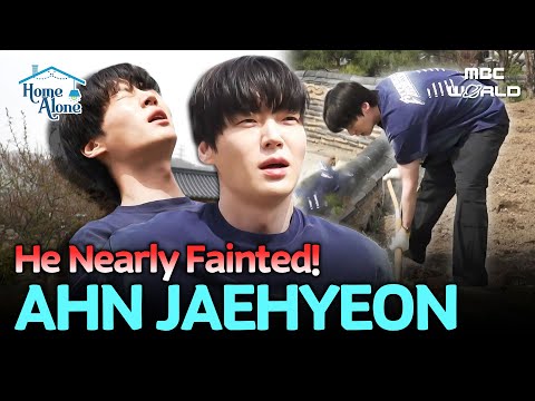 [Sub] Ahn Jaehyeon’s Shocking Struggle on the Farm—What Happened to Him?! 😱 #AHNJAEHYEON #ILIVEALONE