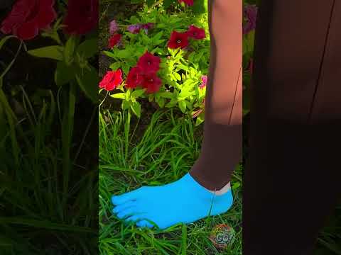 足を爽やかに保ちながら、植物を元気に育てましょう！🌿✨