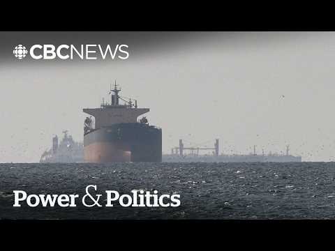 Canada should stay 'far away' from Strait of Hormuz deployment: Former commander | Power & Politics