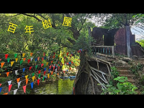 [ 大埔 ]➡️泰國廟. 隱世百年樹屋[26.10.2025]