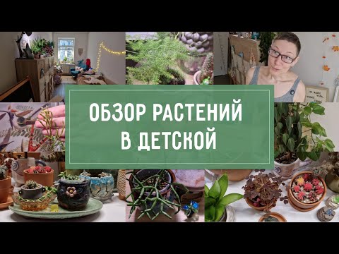 Review of HER LADY'S PLANTS