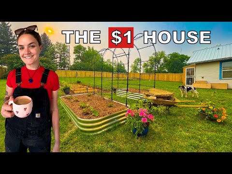 My $1 House: Turning .5 Acre Into Paradise