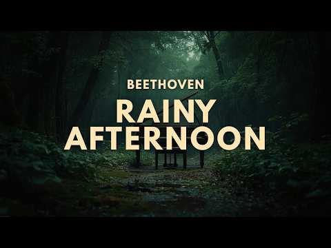 Una tarde lluviosa con Beethoven │ Música clásica para trabajar y estudiar