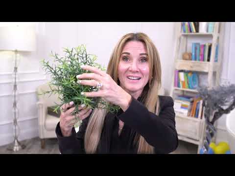 Podcast 272: Why we shouldn't (& can't) "forgive & forget"