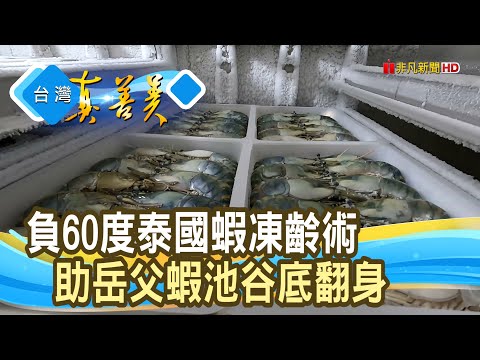 女婿“冰封泰國蝦”救家業｜蝦正甜水產｜【台灣真善美】2025.02.16
