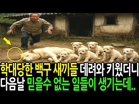 주인에게 학대 당한 백구 새끼들 데려와 키웠더니 다음날 믿을 수 없는 일들이 생기는데