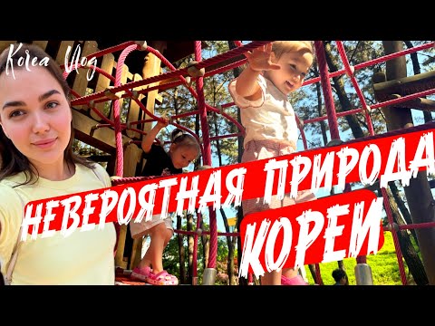 КОРЕЯ ВЛОГ| РАЗВЛЕКАЕМ ДВОЙНЮ|КРАСИВЫЕ МЕСТА КОРЕИ