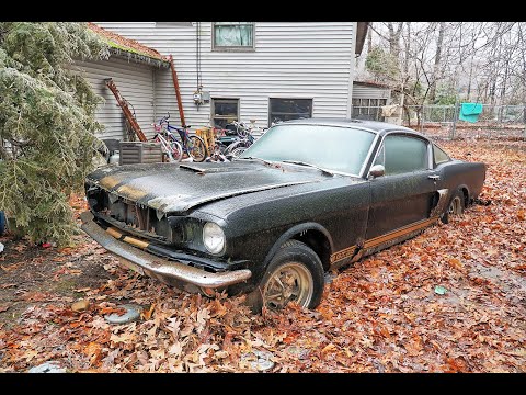 Recovered: 1966 Shelby Mustang GT350H sunk in Ohio backyard 40 years