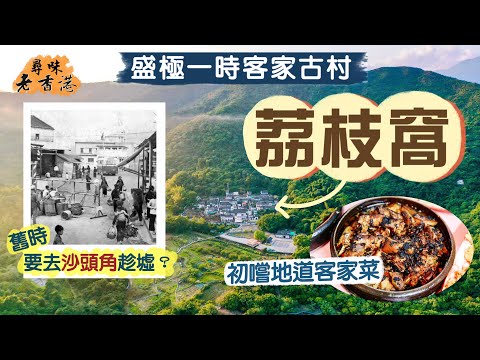 【尋味老香港】荔枝窩：盛極一時客家古村｜始建於清初的「桃花源」，選址風水大有講究？｜感受濃濃鄉土情🛖首嚐村民親煮地道客家宴！食即整即蒸新鮮茶粿🤤｜荔枝窩兩日一夜深度遊