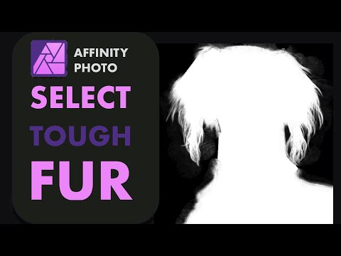 AFFINITY PHOTO: HOW TO SELECT TOUGH FUR (AND IS IT BETTER THAN PIXELMATOR PRO)