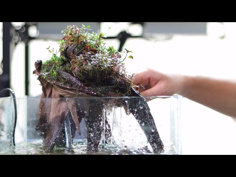 초보도 쉽게 만들 수 있는 물이 흐르는 테라리움 만들기