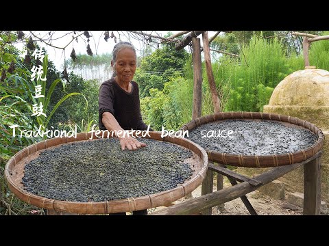 農村傳統豆豉，10斤豆用8天發霉發酵，做一次能吃一年Grandma making traditional Chinese tempeh and chinese food | 广西 美食 | 玉林阿婆
