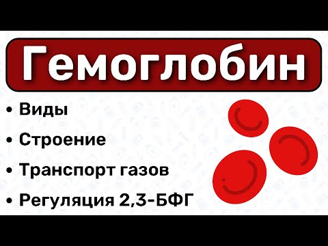 Гемоглобин: строение, виды, перенос газов / БИОХИМИЯ