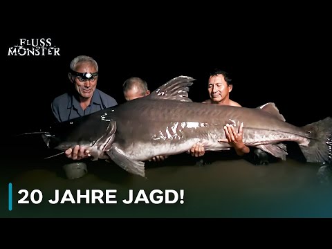 EIN MONSTER-FANG FÜR DIE GESCHICHTSBÜCHER: LAU LAU | Fluss Monster