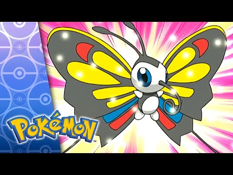 All Things Bright and Beautifly! | POKÉMON FULL EPISODE 13 | Season 6