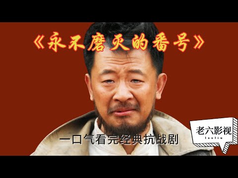 【华语电视剧解说】一口气看完经典抗战剧《永不磨灭的番号》精彩解说